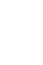 Schiszler Ásványvíz Logo